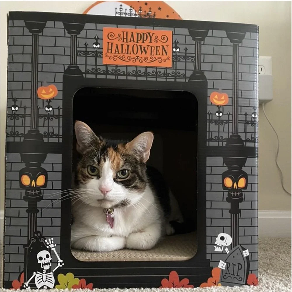 NWT Hyde & Eek Halloween Double Deck Skeleton Park Cat Scratcher